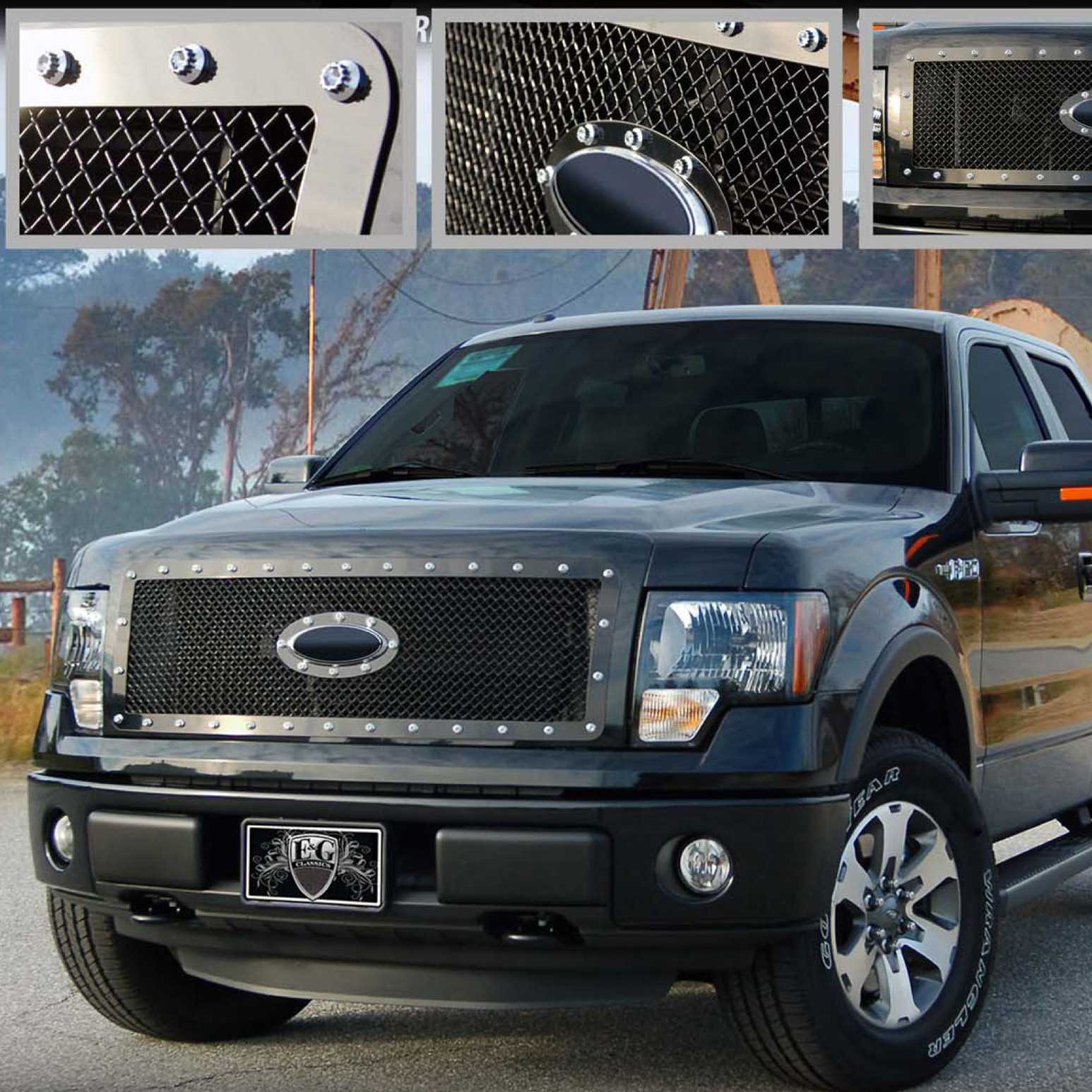 Mesh grill ford f 150 #3