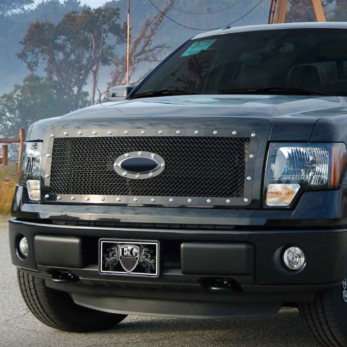 E&G Classics 2009-2014 Ford F-150 Grille E-Power Heavy Mesh Grille ...