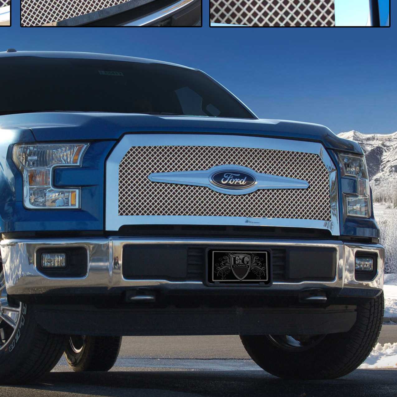 Mesh grill ford f 150 #1